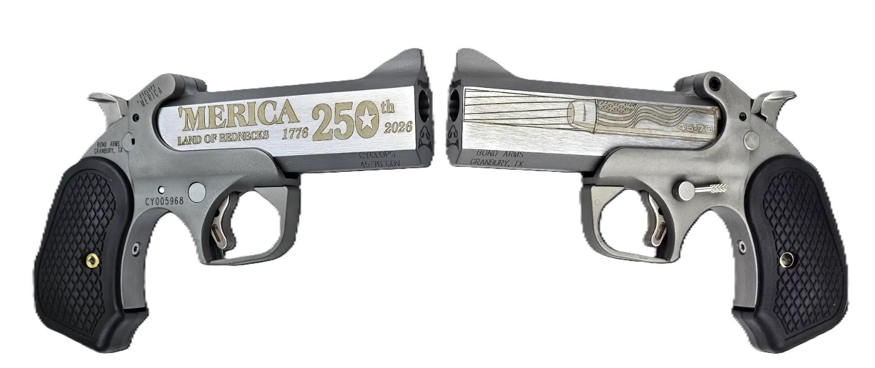 Primary Arms